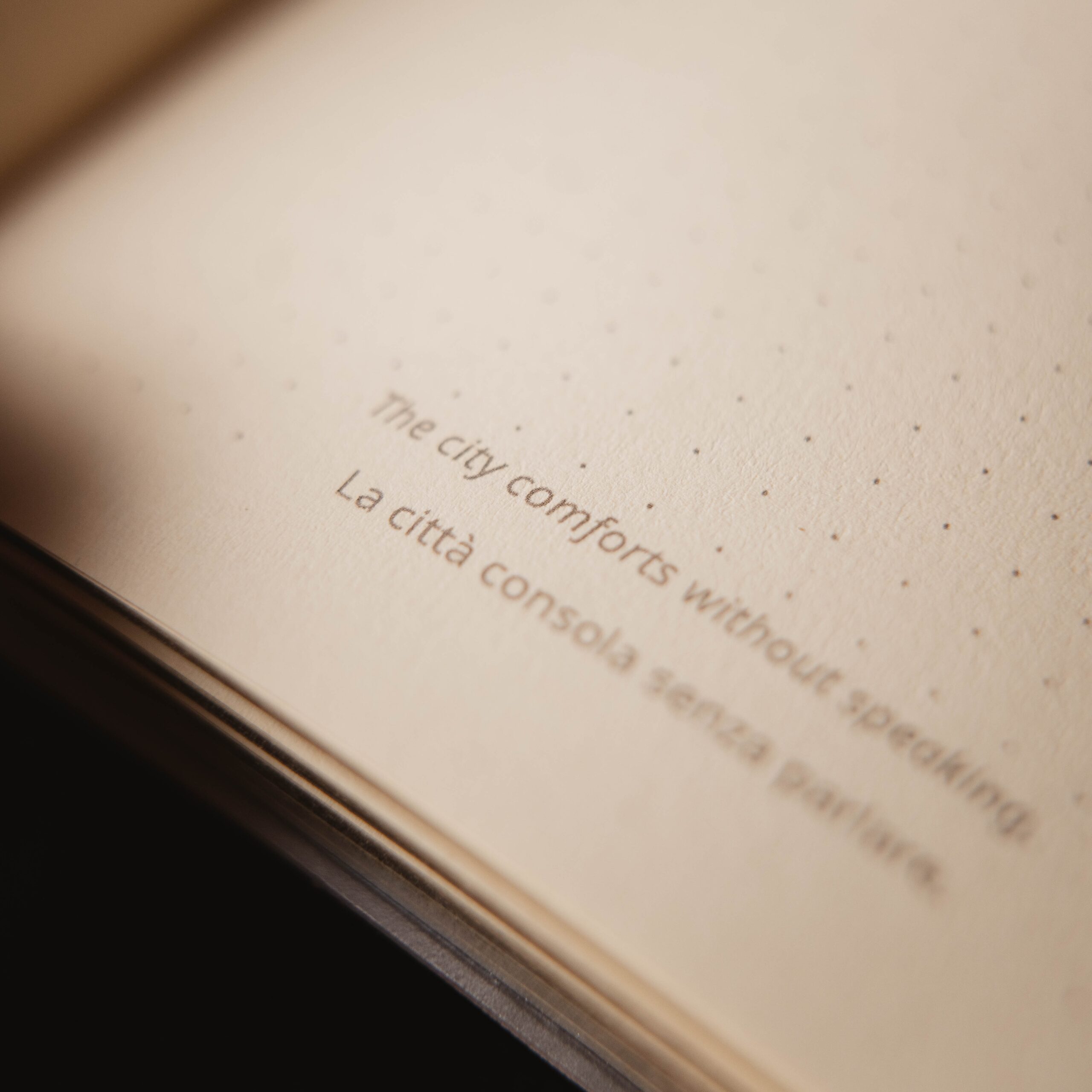 Détail du carnet « Roma »