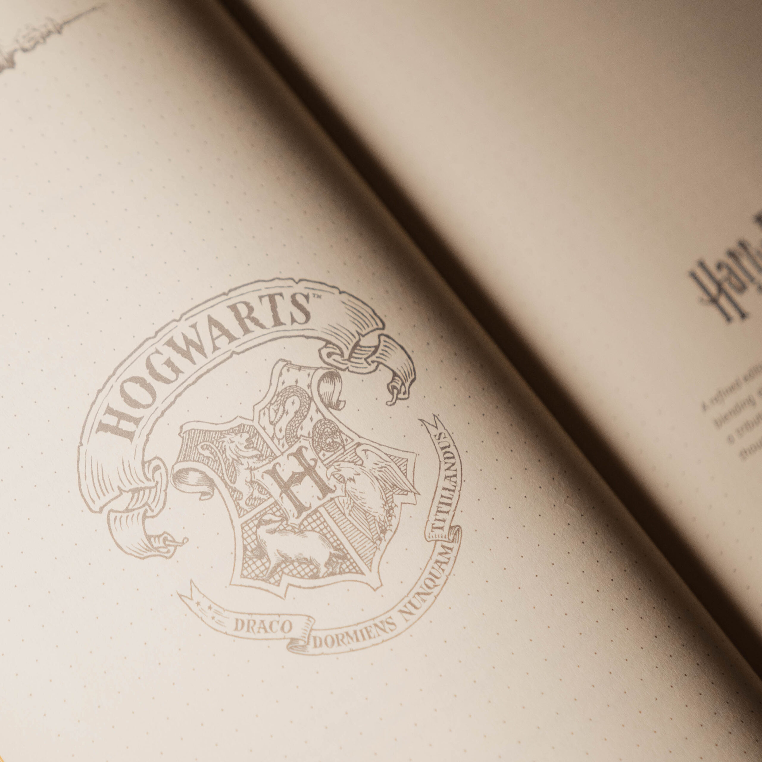 Dettaglio dello stemma di Hogwarts inciso nel taccuino Serpeverde™